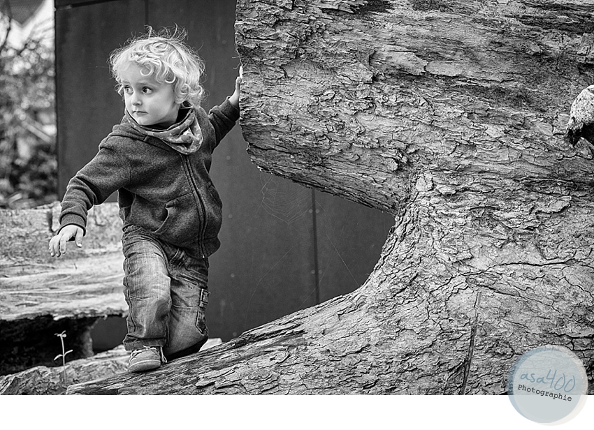 Familienfotograf Hildesheim