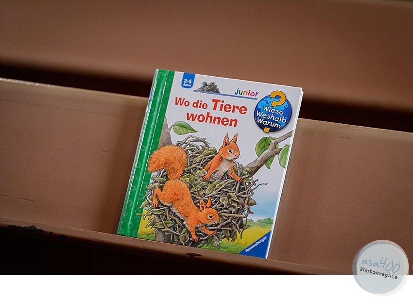 Hochzeitsfotograf Alfeld